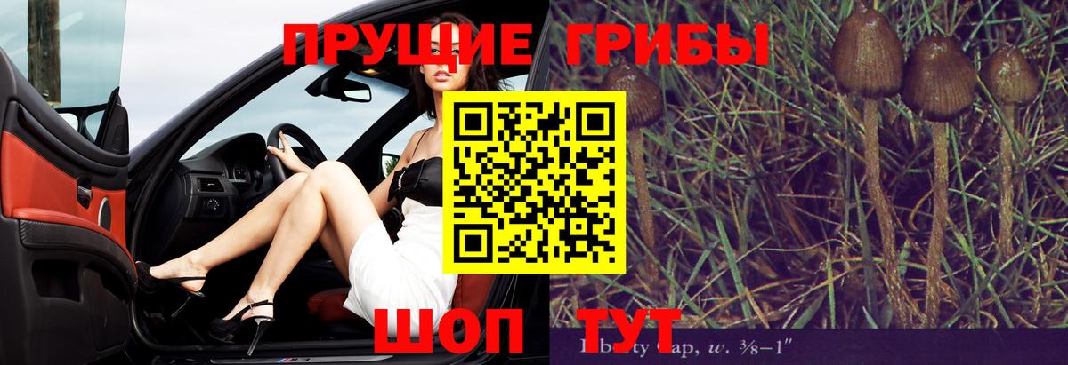 Зеленодольск  Псилоцибиновые грибы Cubensis  где купить   Вход с VPN 