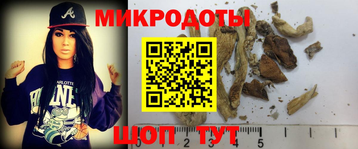 Псилоцибиновые грибы ЛСД Зеленодольск